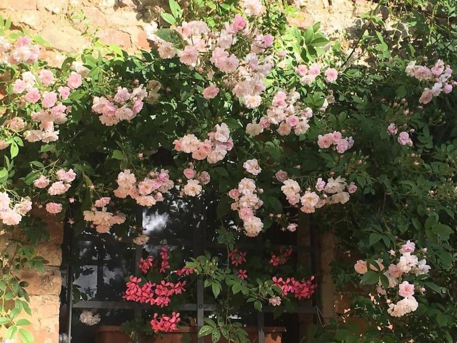 Agli Olivi Di Marciano Διαμέρισμα Σιένα Εξωτερικό φωτογραφία